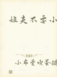 姐夫不要小说