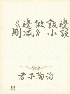 《边做饭边躁无删减》小说