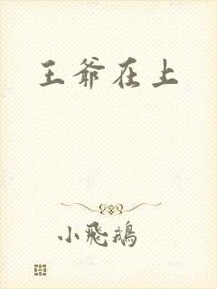 王爷在上