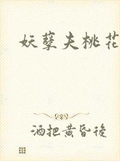 妖孽夫桃花妻封面