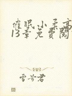 催眠小柔高达第13章免费阅读