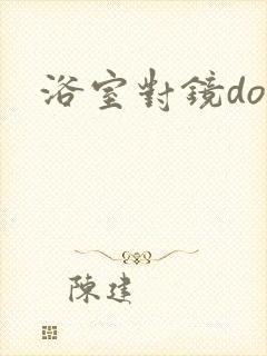 浴室对镜doi封面