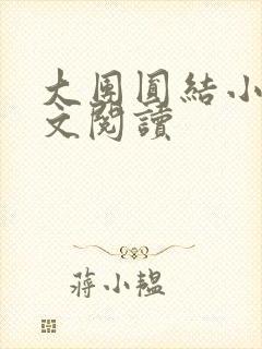 大团圆结小茹全文阅读封面