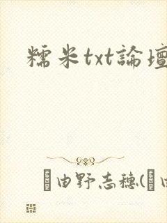 糯米txt论坛封面