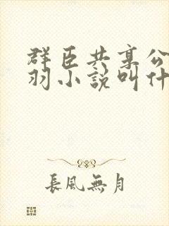 群臣共享公主银羽小说叫什么