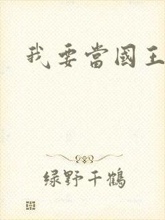 我要当国王封面