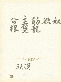 公主的欲奴h四根双龙