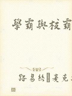 学霸与校霸封面