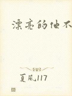 漂亮的他不说话封面