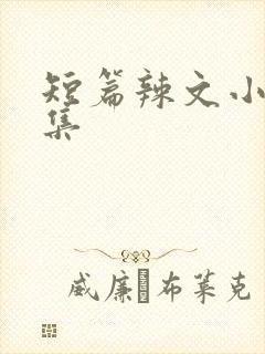 短篇辣文小说合集