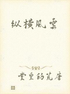 纵横风云封面