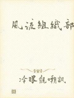 风流组织部长