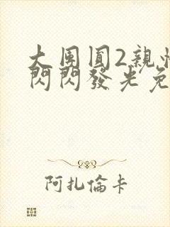 大团圆2亲情会闪闪发光免费