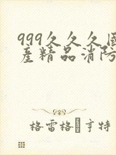 999久久久国产精品消防器材