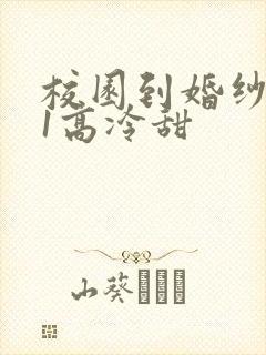 校园到婚纱1V1高冷甜