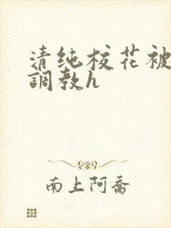 清纯校花被地狱调教h封面