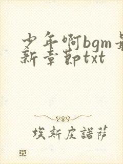 少年啊bgm最新章节txt封面