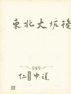 东北大坑后续2封面