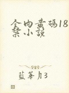 全肉黄码18无禁小说