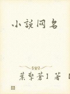 小说网名