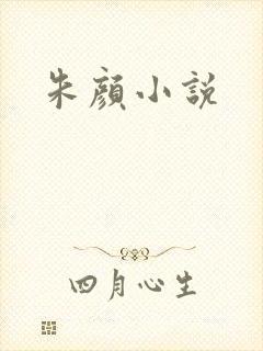 朱颜小说