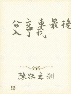 公交车最后一排入了我