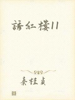 诱红楼11