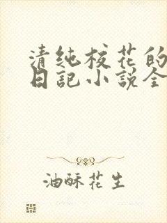 清纯校花的堕落日记小说全文免费阅读封面