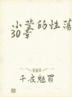小莹的性荡生活30章封面