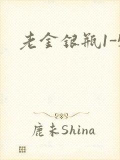老金银瓶1-5