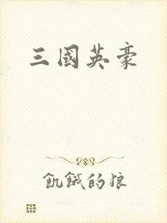三国英豪封面