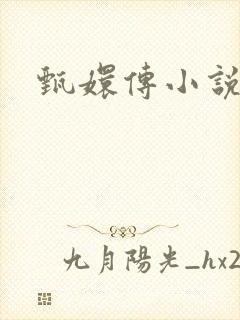 甄嬛传小说