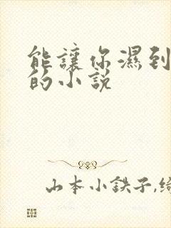 能让你湿到不行的小说