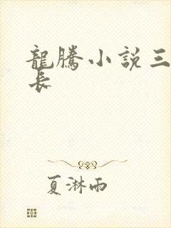 龙腾小说三宝局长封面