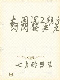 大团圆2亲情会闪闪发光免费