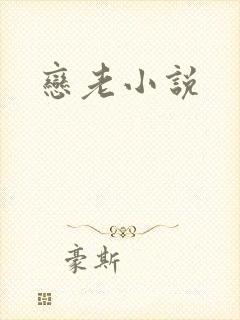 恋老小说