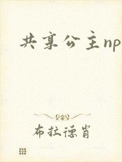 共享公主npc