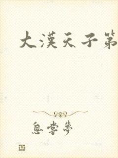 大汉天子第一部封面