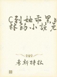 C到她乖黑暗森林的小说免费