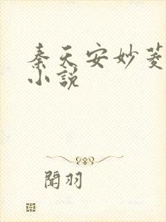 秦天安妙菱修仙小说封面