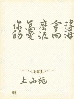 你怎么舍得让我的爱流向海