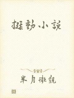挺动小说