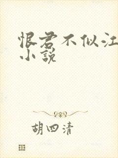 恨君不似江楼月小说封面