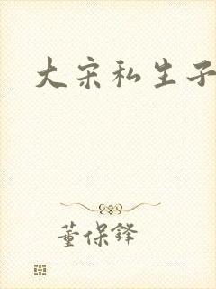 大宋私生子封面