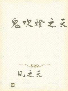 鬼吹灯之天星术封面