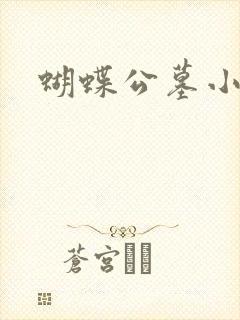 蝴蝶公墓小说封面