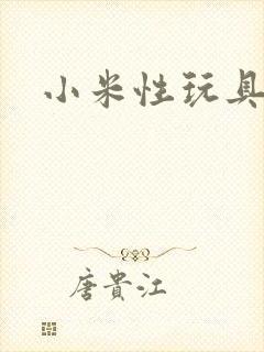小米性玩具日记