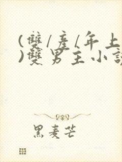 (双/产/年上)双男主小说