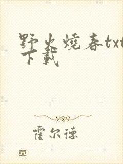 野火烧春txt下载