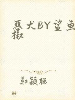 恶犬BY鲨鱼辣椒